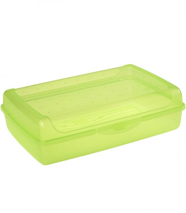 Plastový box MAXI - zelený