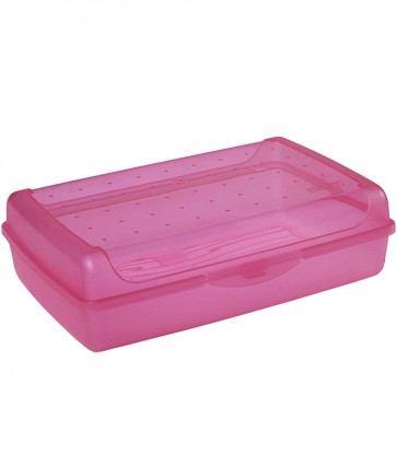 Plastový box MAXI - růžový